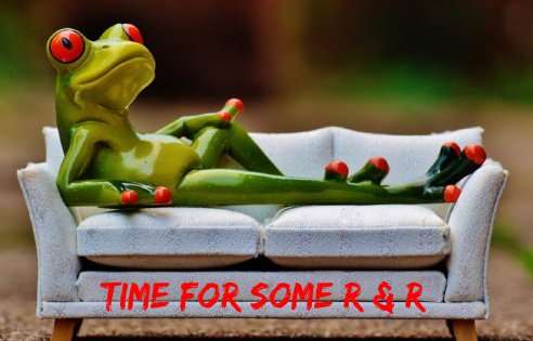 Frog relaxing on a miniature sofa, symbolising rest and recovery for mental health and well-being.