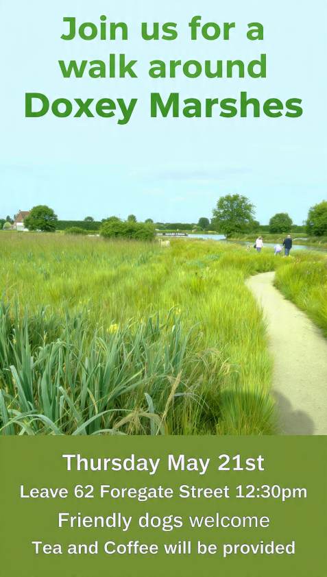 Scenic walk at Doxey Marshes with lush greenery and walking trail.